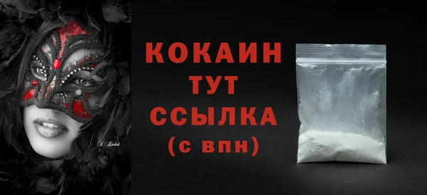 твердый Ладушкин