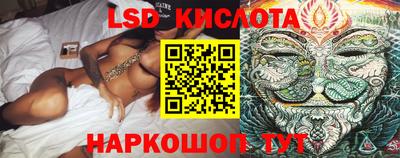 стафф Будённовск