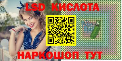 крисы Бийск