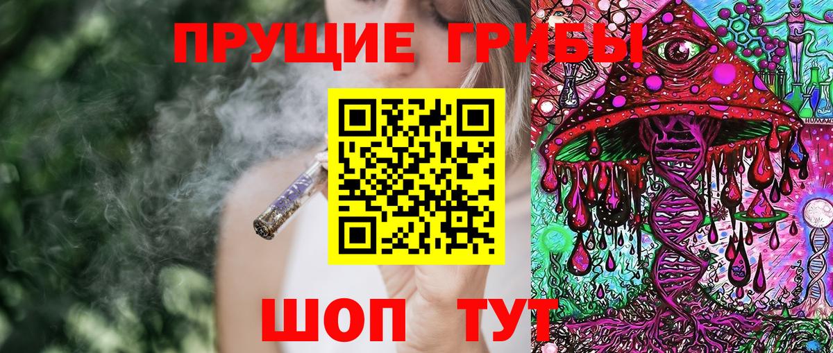 Псилоцибиновые грибы GOLDEN TEACHER Дубна