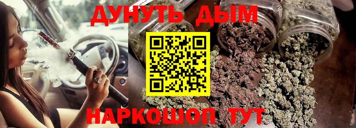 Каннабис SATIVA & INDICA Дубна